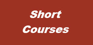 Short Course Overview